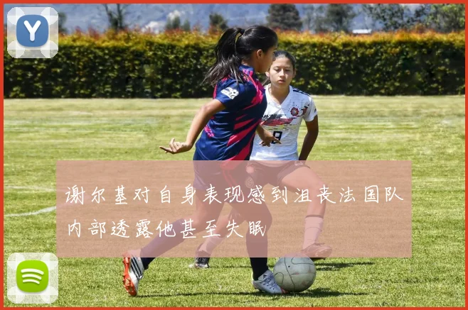 谢尔基对自身表现感到沮丧法国队内部透露他甚至失眠